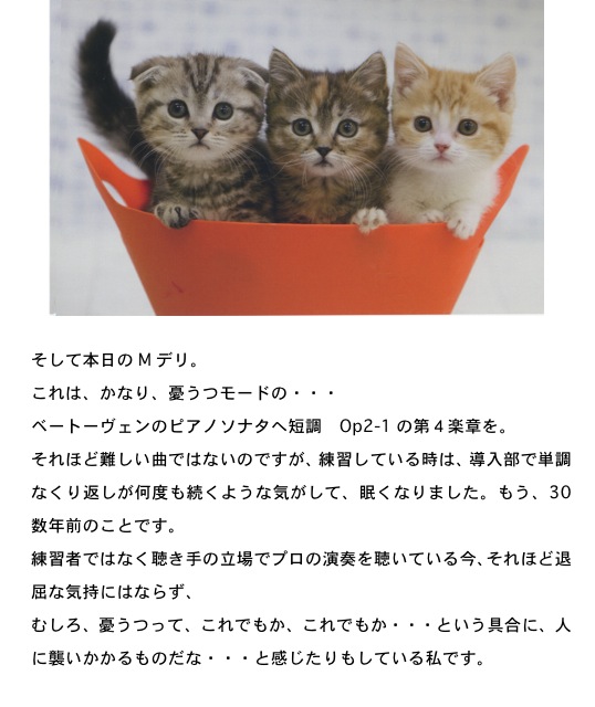 2013.04.18-3.jpg