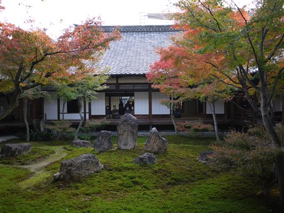 P1150103.jpg