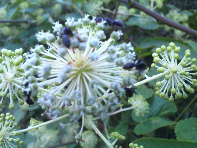 KIMG0107 (640x480).jpg