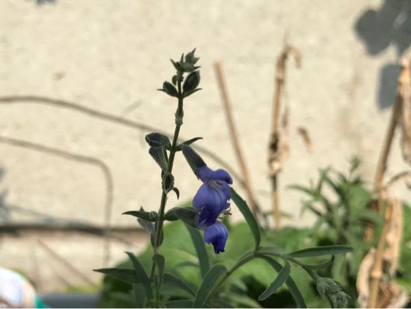 rblog-20170926173506-05.jpg