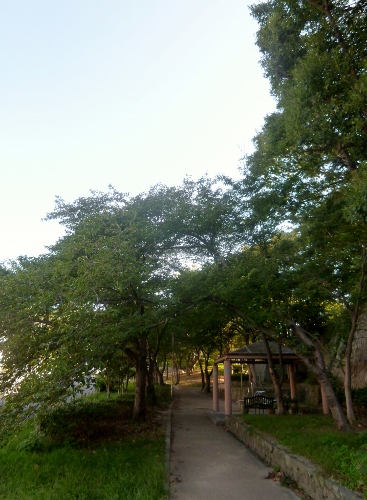 018 (367x500).jpg