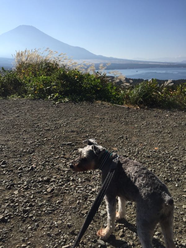 rblog-20161024010812-04.jpg
