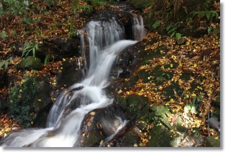白山比メ神社-10 琵琶滝-1 13.11.27