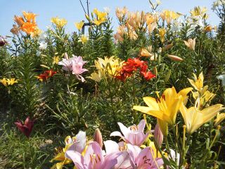 rblog-20140619154141-01.jpg