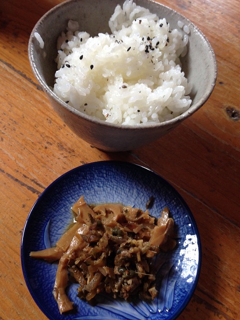 HABIKINOほんてんラーメン・