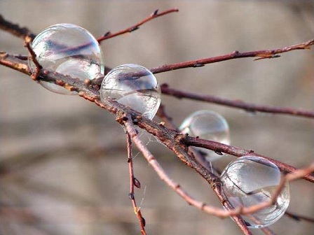 bubbles