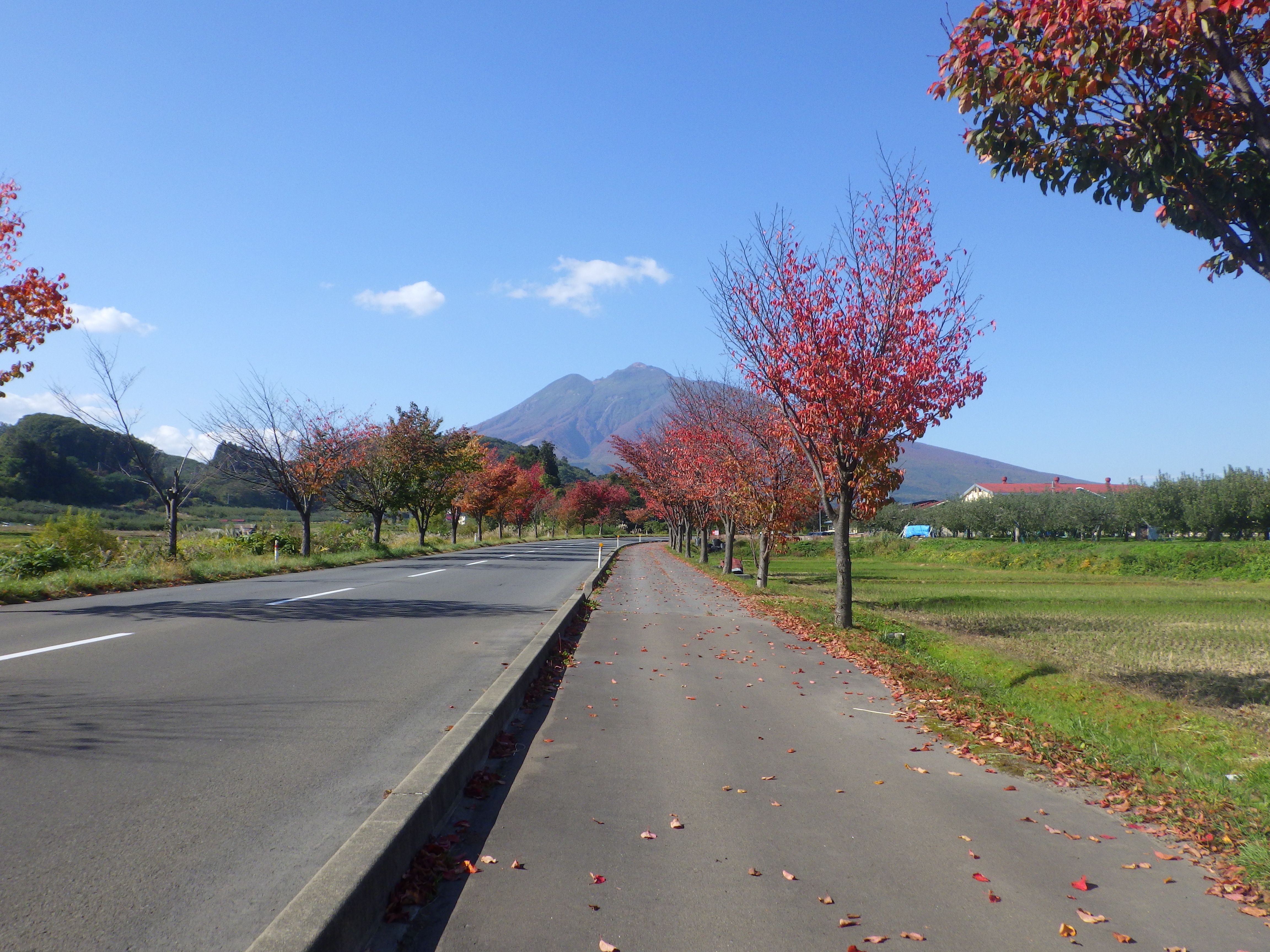 ぶらり弘前 岩木山の紅葉は見事です 街路樹も真っ赤 やまんば岩木のブログ 楽天ブログ