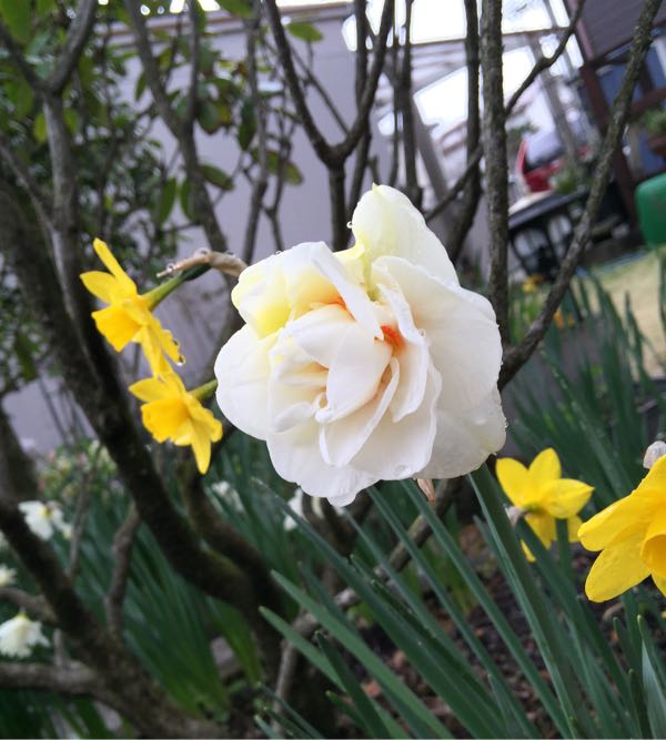 rblog-20150415151557-01.jpg