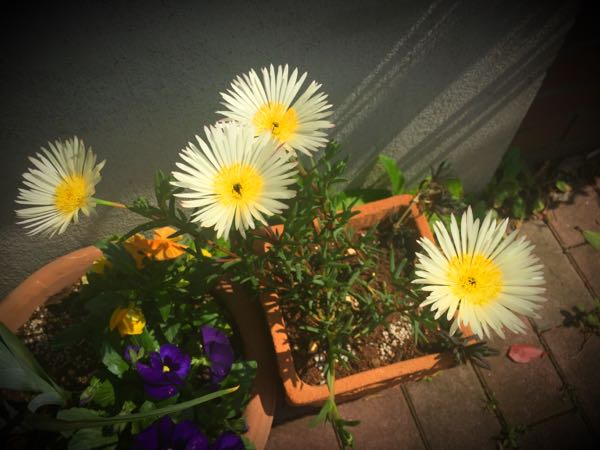 rblog-20160406142324-05.jpg