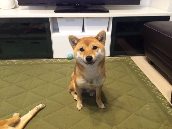 rblog-20151216002501-10.jpg