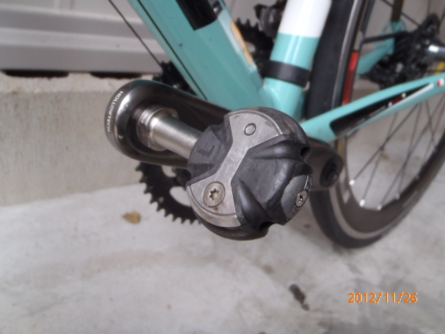 PB260081.JPG