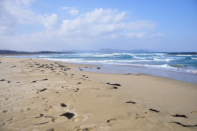 DSC_0072.jpg