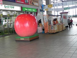 DSCN4136.jpg