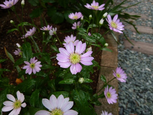 L1020076.JPG