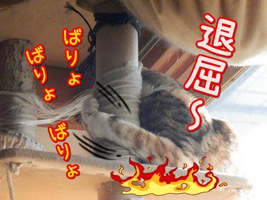 退屈～４.JPG