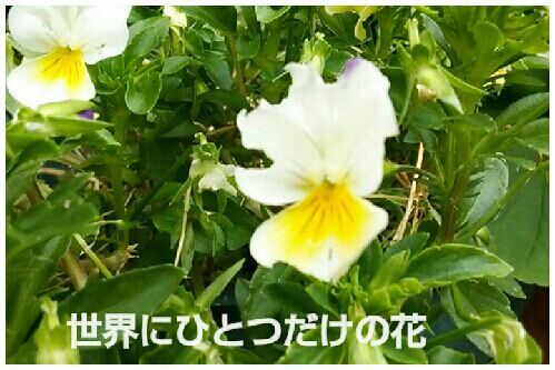 rblog-20160728171558-00.jpg