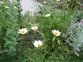 IMG_5492ss.jpg