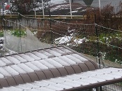 2014年の雪