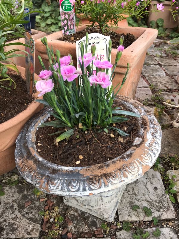 rblog-20190324173828-03.jpg
