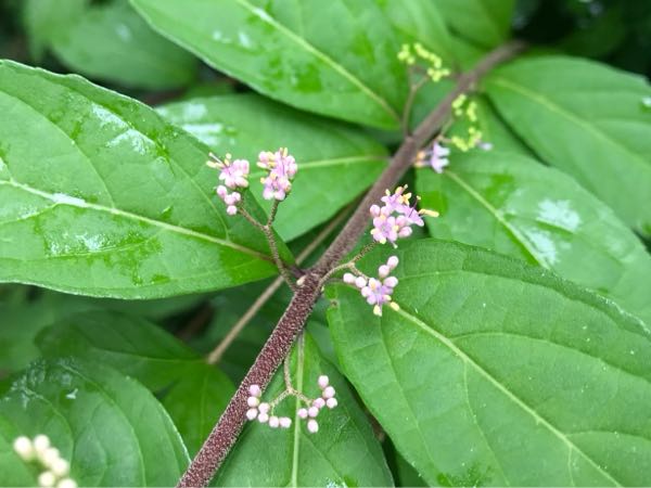 rblog-20180624175900-09.jpg