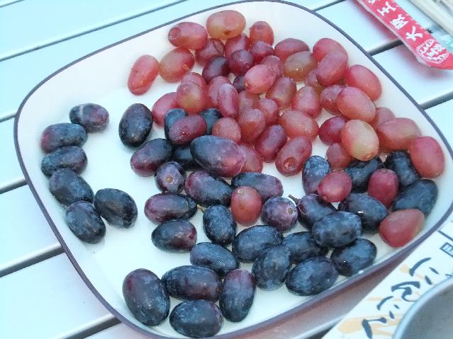 DSCF2863.jpg