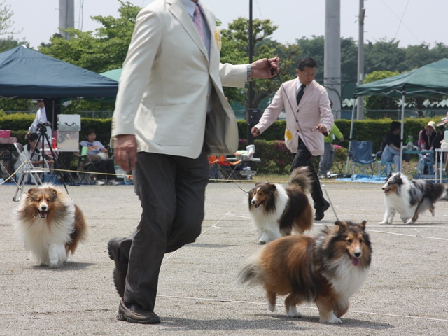IMG_1785 - コピー.JPG