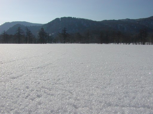 13尾瀬雪.JPG