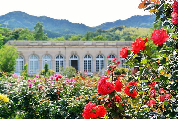 河津バガテル公園