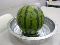P1020603