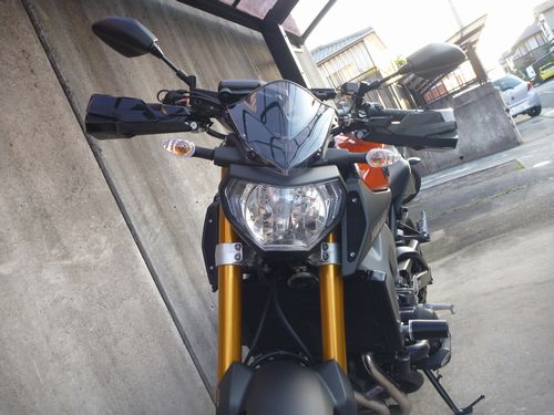 HANDGUARD6.jpg