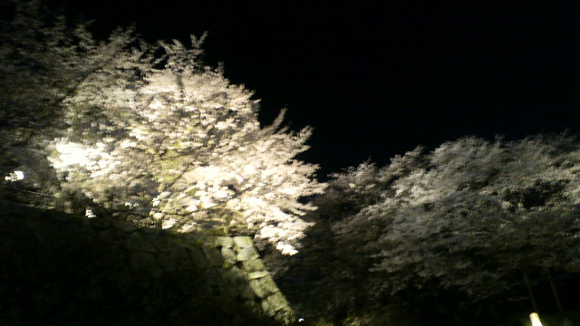 2012040907450001.jpg