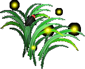 hotaru30.gif