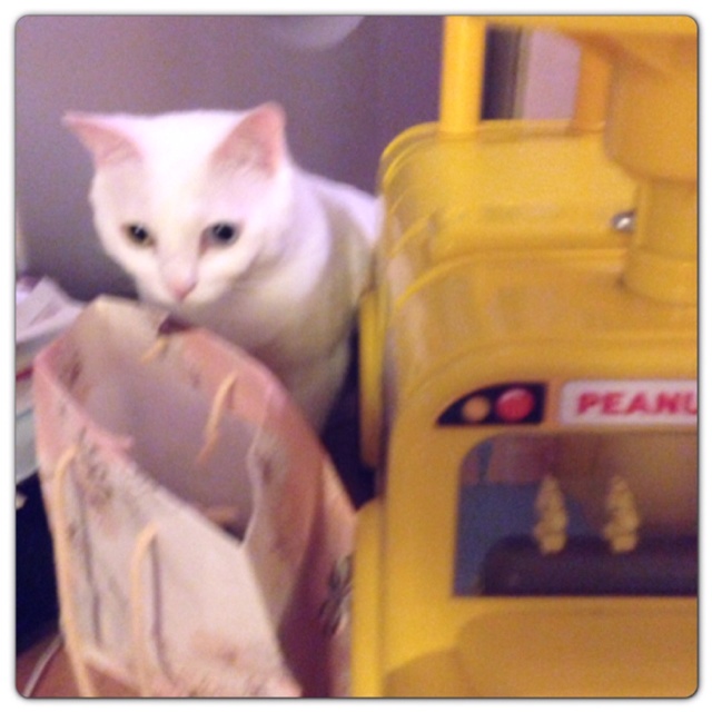 rblog-20130607231913-03.jpg