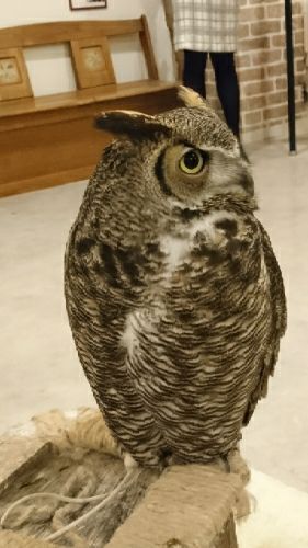 rblog-20180214194818-02.jpg