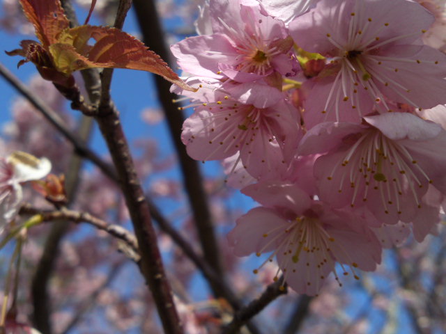 2012-03-30 17:48:37