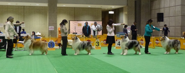 P1000233 - コピー.JPG