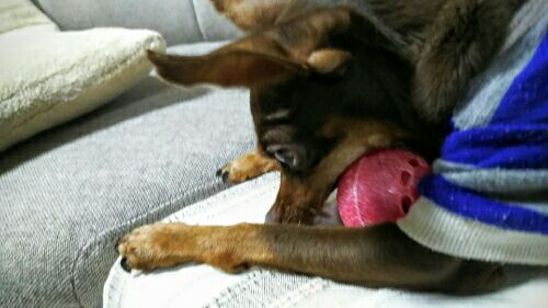 rblog-20160529222104-01.jpg