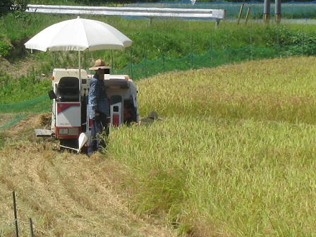 IMG_1003縮小 - コピー.jpg