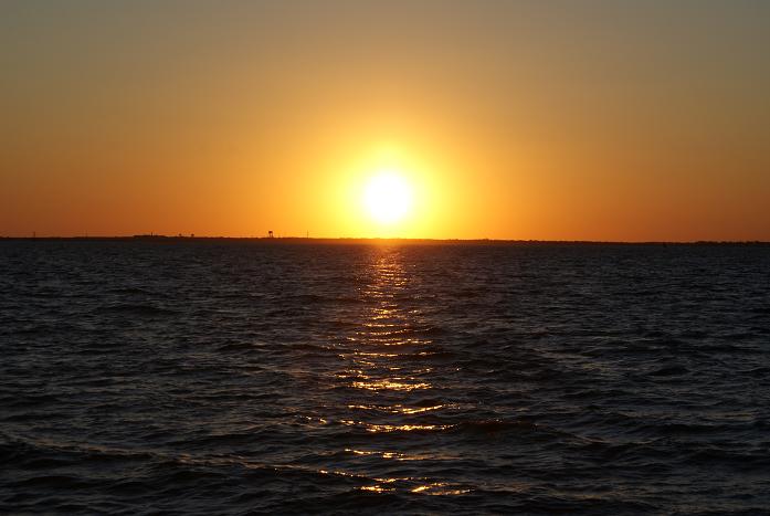 DSC08142.JPG