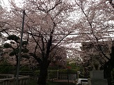 DSC_2810.jpg