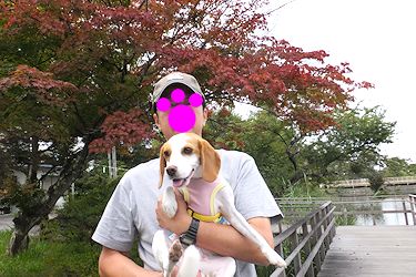 20160916色づき始めた蓼科湖