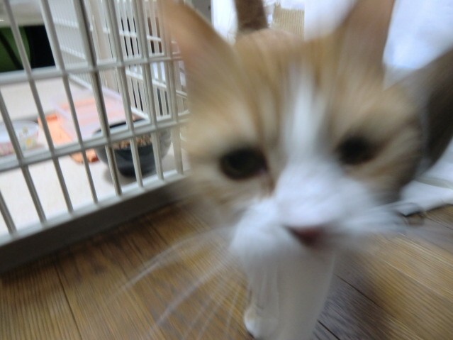 無題-24bitカラー-13.jpg
