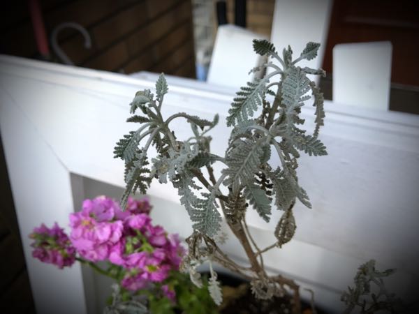 rblog-20161129164209-06.jpg