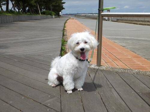 城南島海浜公園にて