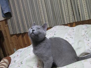 ほんとはねむいでしょ？.JPG