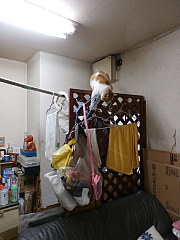 conv0635.JPG