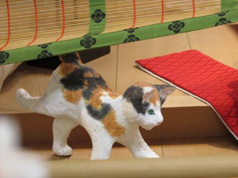 観照 京都 下京 風俗博物館 19年2月からの展示 1 猫と蹴鞠 1 遊心六中記 楽天ブログ
