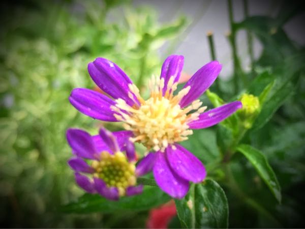 rblog-20160530191918-05.jpg