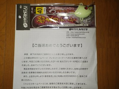 IMGP4378.JPG