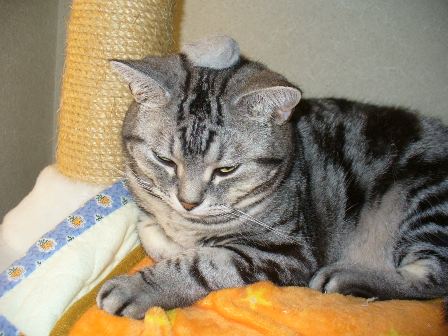 P1130492.jpg